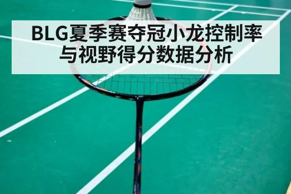 BLG夏季赛夺冠小龙控制率与视野得分数据分析